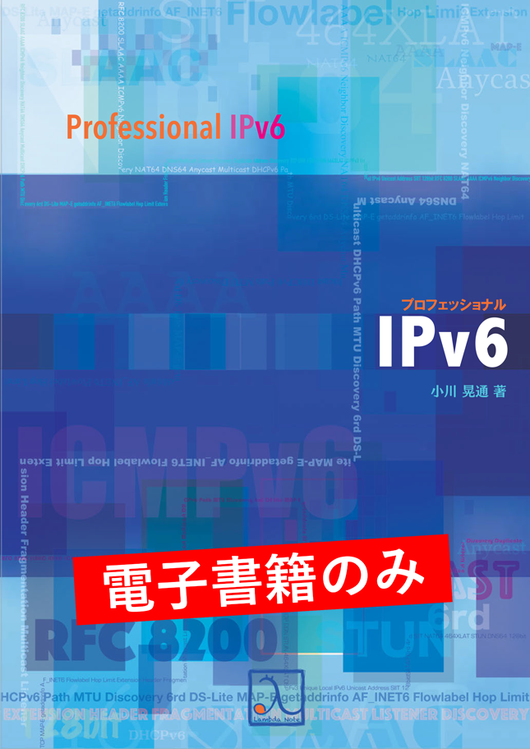 プロフェッショナルIPv6(電子書籍のみ)