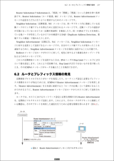 プロフェッショナルIPv6 第2版