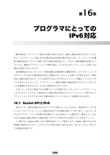 プロフェッショナルIPv6
