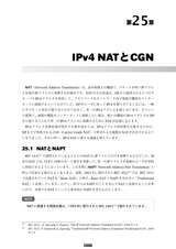 プロフェッショナルIPv6