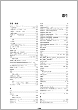 プロフェッショナルIPv6